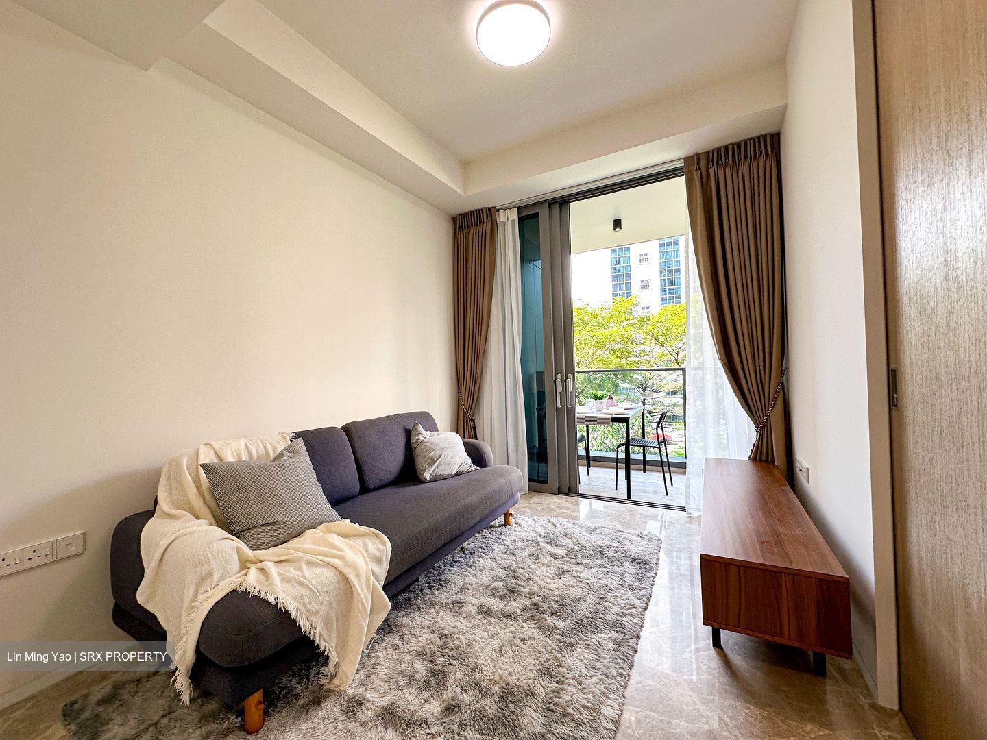 Amber Park (D15), Condominium #545452391